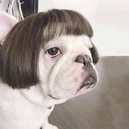 Festive Dog Wig