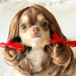 Festive Dog Wig